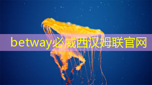 betway必威：智能物流狂扫设备设备