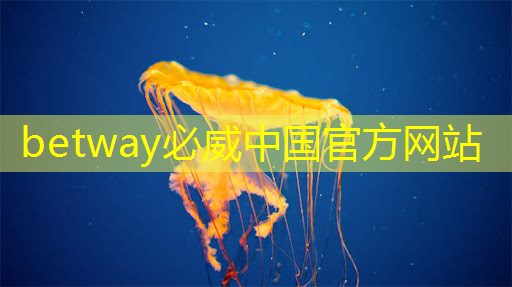 betway必威西汉姆联官网：杭州市城市管理智慧化智能化