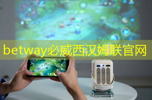 betway必威西汉姆联官网：智慧城市生活品质怎么写