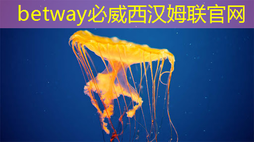 betway必威中国官方网站：投资智慧商显，开启新零售时代的财富之门