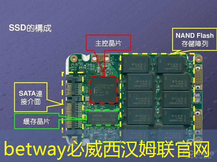 儿歌新趣味：智慧投影互动软件助力儿童乐学成长！