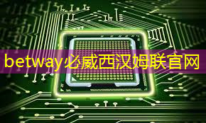 betway必威中国官方网站：速递｜前谷歌员工创立的AI芯片MatX，比英伟达提高10倍，完成超3亿美元估值A轮融资