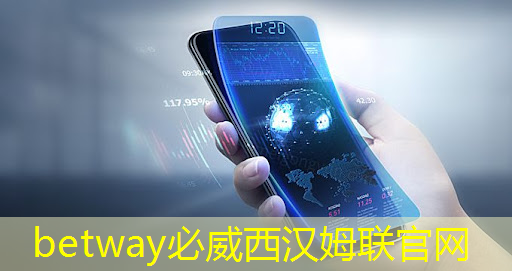 betway必威西汉姆联官网：【坐标坪山】打造电-光融合生态系统！深圳技术大学集成电路与光电芯片学院揭牌