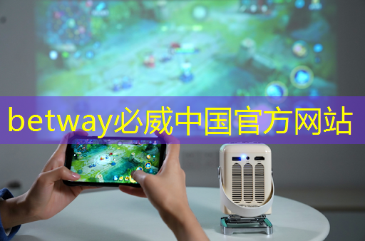 betway必威：地平线高级研发总监凌坤：好的自动驾驶AI芯片更是“好用”的芯片｜直播预告