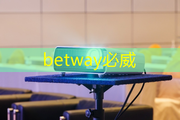 betway必威中国官方网站：猎头顾问如何选择行业？芯片设计？智能驾驶？储能？医疗？制造业？金融？电源&电力电子？嵌入式C／C++领域？互联网？机器人？