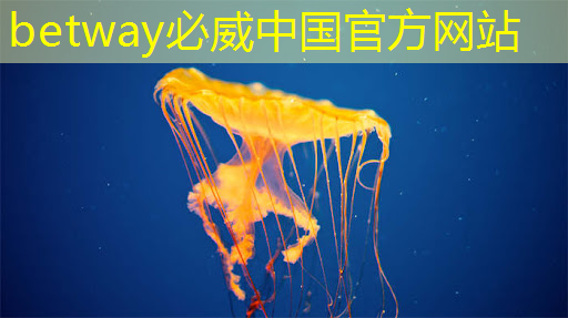 betway必威：基于架构创新，后摩智能点亮业内首款存算一体大算力AI芯片