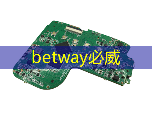 betway必威西汉姆联官网：云豹智能产品应用负责人安东尼：云原生DPU芯片的创新与应用｜直播预告