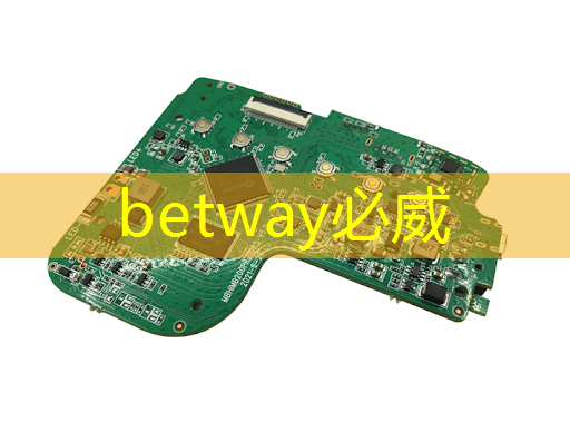 betway必威：上海市芯片制造与封装电子电镀专题研讨会在上海大学顺利召开！