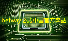 betway必威：比亚迪拟自研智能驾驶芯片，欲强补智能化｜Long China 50独家