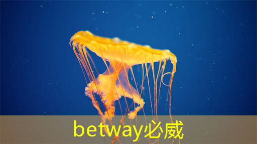 betway必威西汉姆联官网：中国芯片现状 vs 未来发展趋势