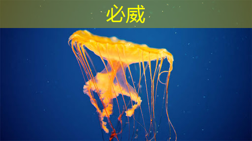 必威:地平线高级研发总监凌坤:好的自动驾驶AI芯片更是“好用”的芯片|直播预告 必威:地平线高级研发总监凌坤:好的自动驾驶AI芯片更是“好用”的芯片|直播预告