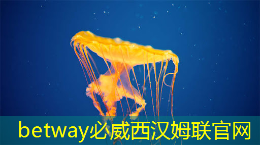 betway必威：清华发布《人工智能芯片技术白皮书（2018）》