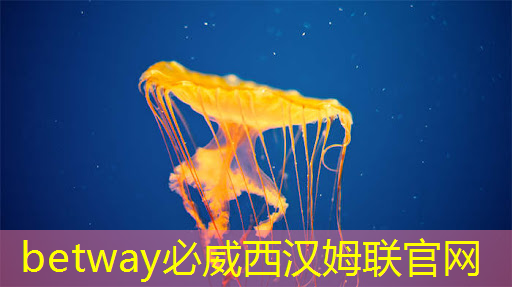 betway必威:欧冶半导体入选“2024新质生产力发展案例”:打造全车智能芯片底座 betway必威:欧冶半导体入选“2024新质生产力发展案例”:打造全车智能芯片底座