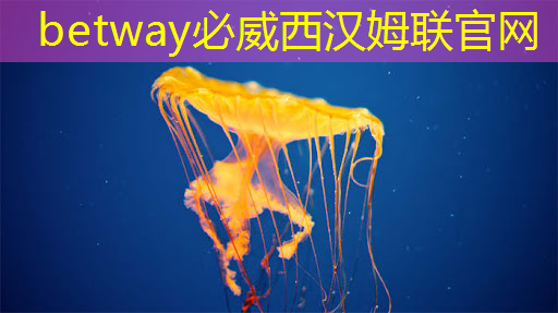 必威:启迪企业|稻源科技发布人工智能边缘计算AI芯片 必威:启迪企业|稻源科技发布人工智能边缘计算AI芯片