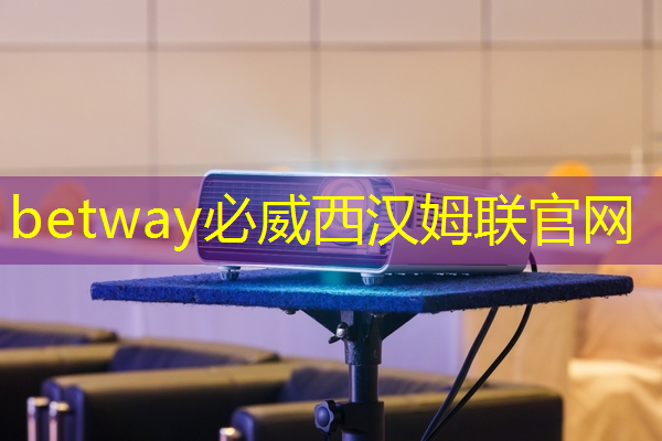 betway必威：AI芯片的发展历程