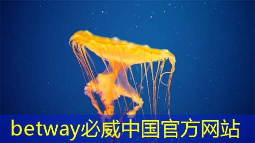 betway必威中国官方网站：中国存储芯片王者，华为战略控股，未来超越北方华创