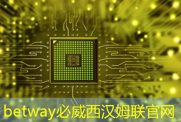 betway必威:《人工智能芯片技术白皮书(2018)》发布(附下载) betway必威:《人工智能芯片技术白皮书(2018)》发布(附下载)