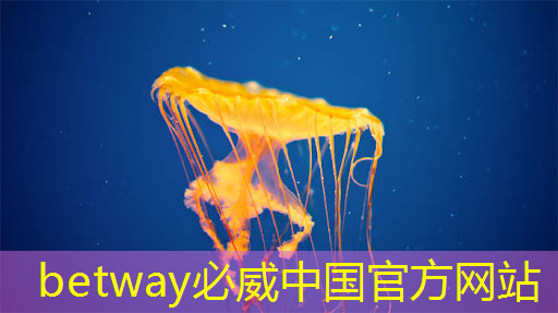 betway必威西汉姆联官网:最全集成电路、半导体芯片板块投资标的及独家资料(收藏帖) betway必威西汉姆联官网:最全集成电路、半导体芯片板块投资标的及独家资料(收藏帖)