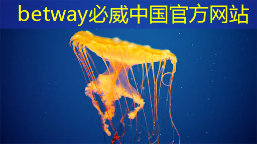 必威：中科院唯一认证的芯片+人形机器人霸主，或将1000%增长