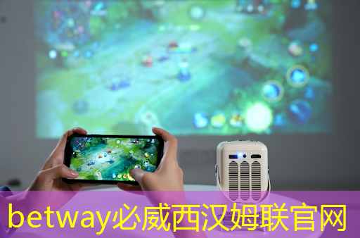 betway必威西汉姆联官网：半导体芯片，5家优质企业