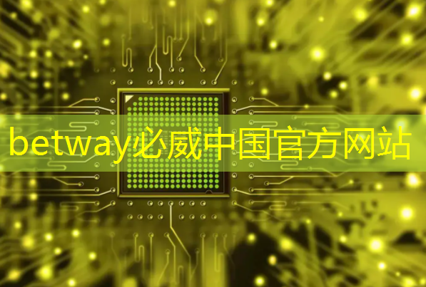betway必威西汉姆联官网：AMD AI芯片被指软件有缺陷，开箱体验远不如NVIDIA ｜ LeetTalk Daily