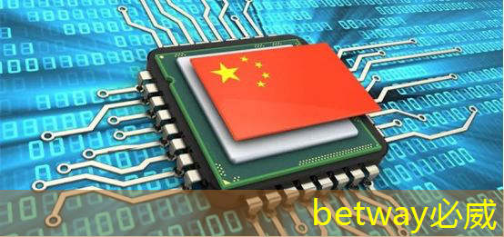 betway必威中国官方网站：走进东风 ｜ 深入解读智能驾驶的大脑——车规大算力芯片