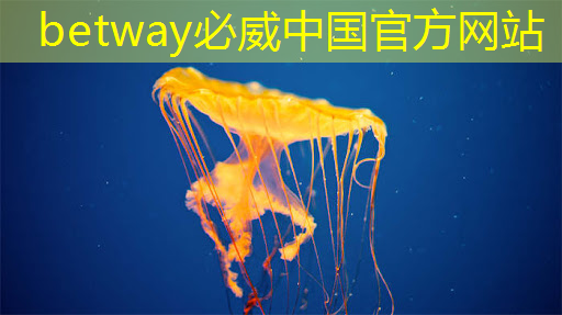 betway必威中国官方网站：芯片与电子产品验证测试创新蓝图（下）