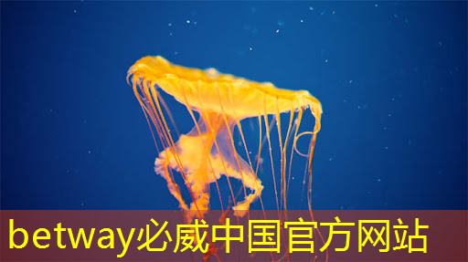 betway必威西汉姆联官网:美国以“国家安全”名义,审查中国使用RISC-V芯片技术的风险 betway必威西汉姆联官网:美国以“国家安全”名义,审查中国使用RISC-V芯片技术的风险