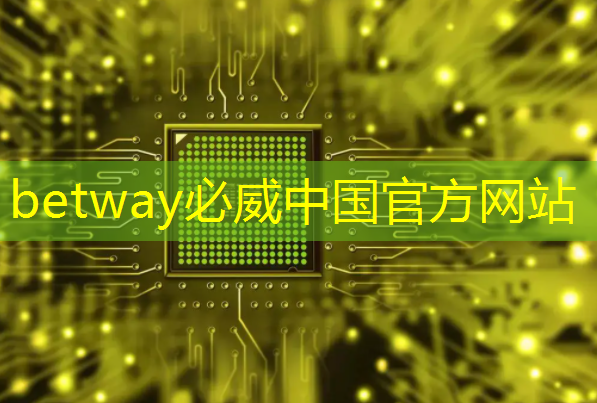 必威：一年的时间，这家上海芯片独角兽又给我们带来了什么惊喜？