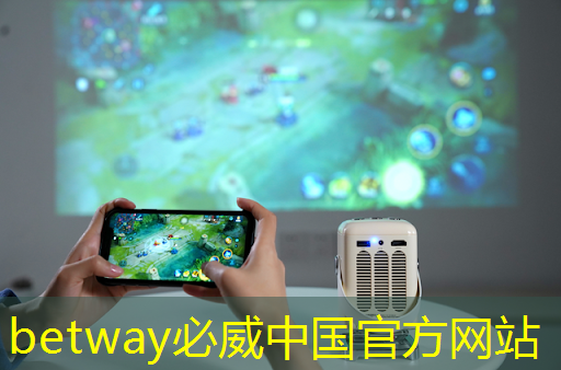 betway必威西汉姆联官网：黑芝麻智能曾代兵：大算力芯片是自动驾驶的核心