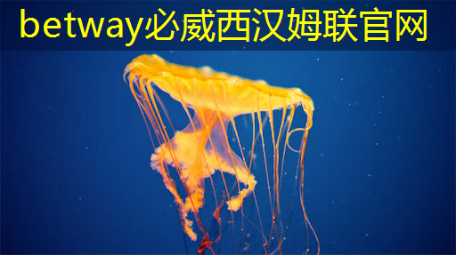 betway必威:拜登再宣布一笔半导体补贴:用数字孪生加速芯片设计和生产 betway必威:拜登再宣布一笔半导体补贴:用数字孪生加速芯片设计和生产
