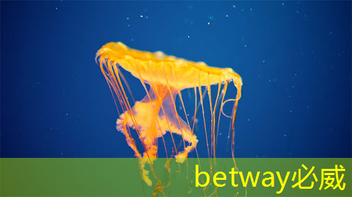 betway必威中国官方网站:上海市芯片制造与封装电子电镀专题研讨会在上海大学顺利召开! betway必威中国官方网站:上海市芯片制造与封装电子电镀专题研讨会在上海大学顺利召开!