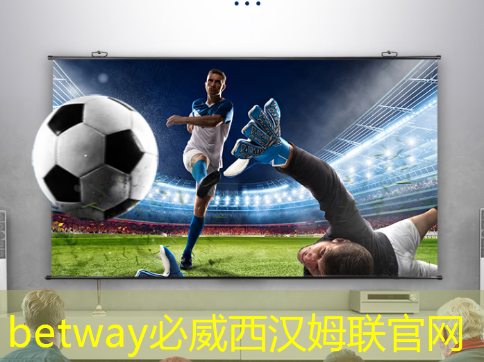 betway必威西汉姆联官网：免费升级芯片获好评，但软件要跟上，极氪群友这样看