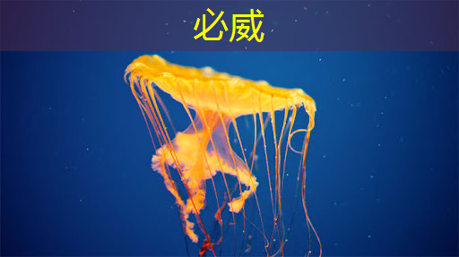 betway必威:拜登再宣布一笔半导体补贴:用数字孪生加速芯片设计和生产 betway必威:拜登再宣布一笔半导体补贴:用数字孪生加速芯片设计和生产