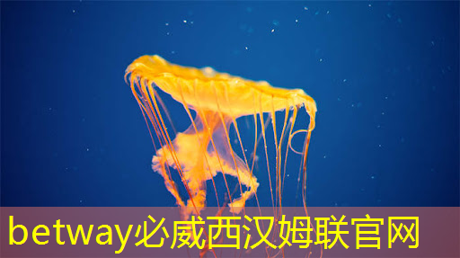 【寒假】沉浸式芯片科技探索体验营——思无域 行无疆 玩科技 驭未来 【寒假】沉浸式芯片科技探索体验营——思无域 行无疆 玩科技 驭未来