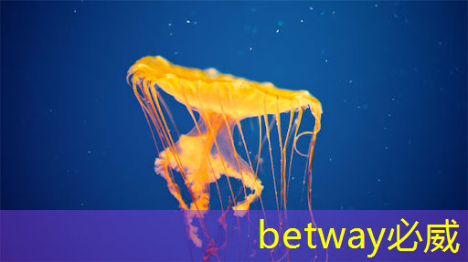 betway必威:上海市芯片制造与封装电子电镀专题研讨会在上海大学顺利召开! betway必威:上海市芯片制造与封装电子电镀专题研讨会在上海大学顺利召开!