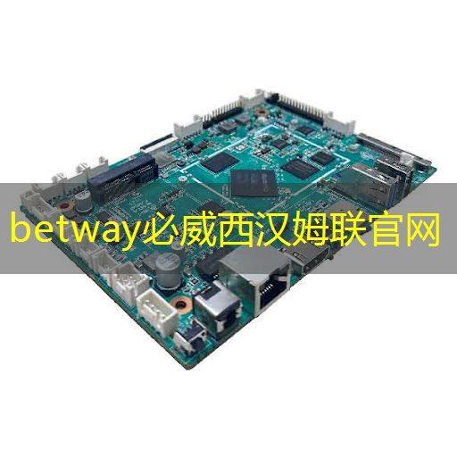 betway必威中国官方网站:速递|前谷歌员工创立的AI芯片MatX,比英伟达提高10倍,完成超3亿美元估值A轮融资 betway必威中国官方网站:速递|前谷歌员工创立的AI芯片MatX,比英伟达提高10倍,完成超3亿美元估值A轮融资