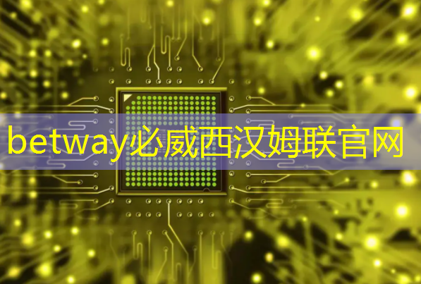 必威：11.16继续买买买（芯片+虚拟现实）