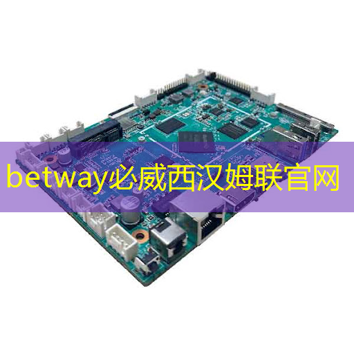 betway必威西汉姆联官网：ASIC芯片+AI智算中心+布局硅光芯片+重组预期，潜力秒杀双成药业，问鼎2024跨年第一龙头