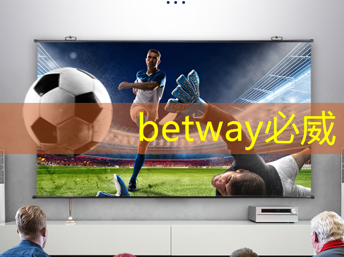 betway必威中国官方网站：芯片类型与技术节点