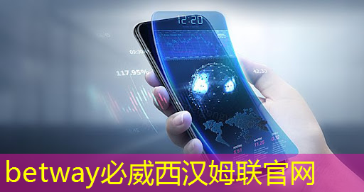 betway必威西汉姆联官网:比亚迪拟自研智能驾驶芯片,欲强补智能化|Long China 50独家 betway必威西汉姆联官网:比亚迪拟自研智能驾驶芯片,欲强补智能化|Long China 50独家