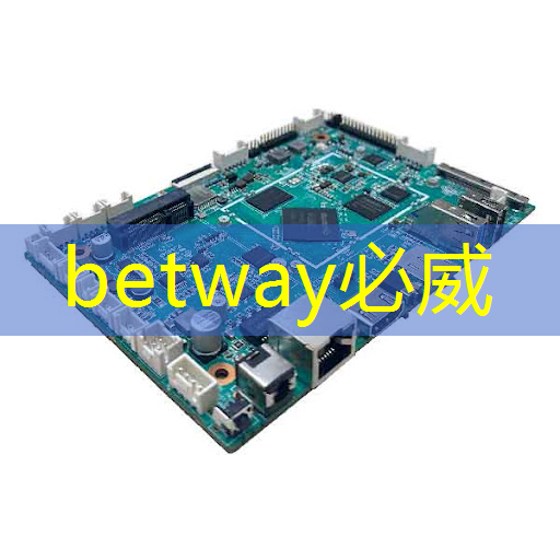 必威：张强：中国汽车智能芯片行业里的行动派