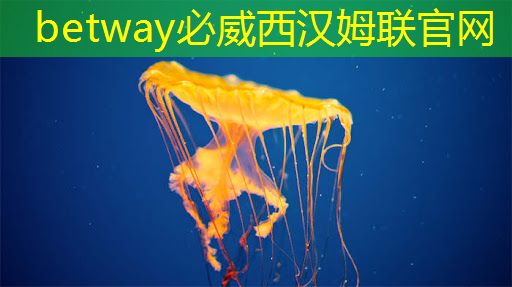 必威：直播预告：单芯片边缘计算SoC在CIS与AI融合上的创新与挑战