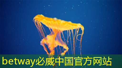 芯片行业大爆发！国产芯片的未来在哪里？