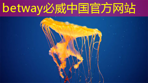 betway必威中国官方网站：Chiplet理念下的芯片设计新生态探索｜直播课预告