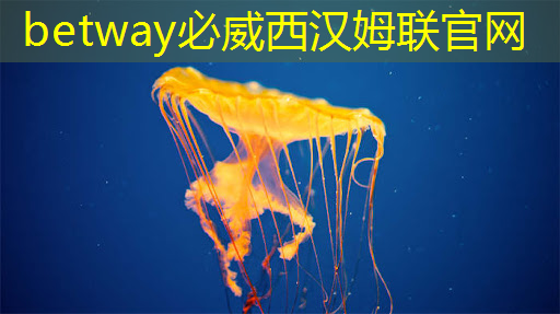 必威：中科院唯一认证的芯片+人形机器人霸主，或将1000%增长