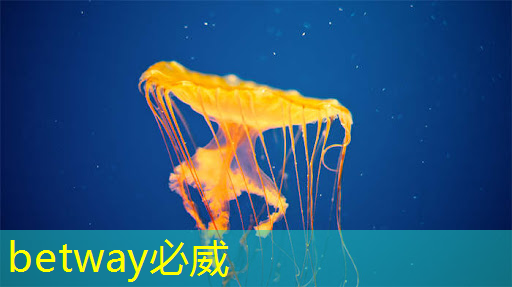betway必威西汉姆联官网：Talk预告 ｜ 壁仞智能科技高级研究员唐杉：AI芯片技术发展
