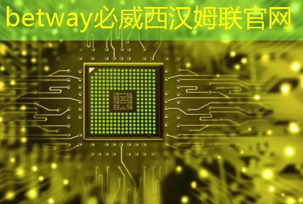 betway必威：黑芝麻智能曾代兵：大算力芯片是自动驾驶的核心
