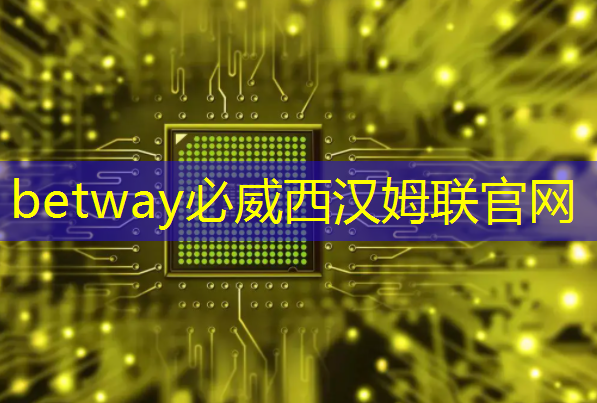 betway必威:数字中国如何应对芯片技术封锁所带来的算力挑战? betway必威:数字中国如何应对芯片技术封锁所带来的算力挑战?