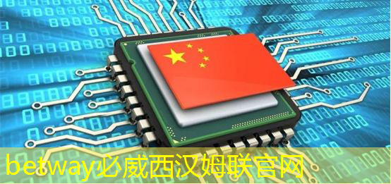 betway必威中国官方网站：AI芯片龙头业绩狂飙1033%！世界领先+国内第一，东方“博通”强势崛起！